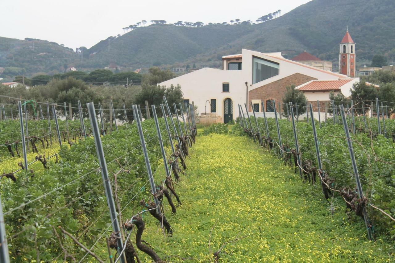 Tenuta Rasocolmo Мессина Экстерьер фото